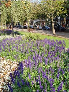 The Long Garden, Cheltenham