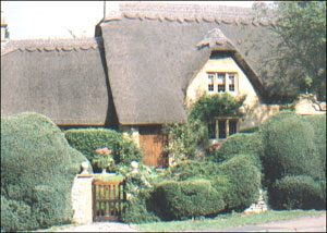 Thatched cottage and topiary