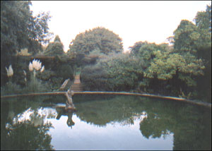 The Pool, Hidcote Manor Garden, National Trust