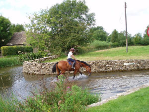 Horse in the river at Lower Slaughter
