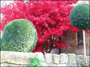 Private garden, Stanton