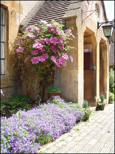 Flowers in bloom on 19th century cottages